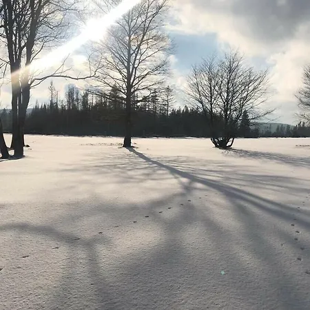 Ferienwohnung Altes Forsthaus Koenigskrug Braunlage Exterior foto